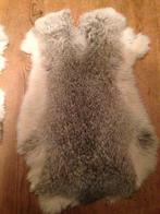 Diverse soorten hoorns en konijnenbontjes, Huis en Inrichting, Ophalen of Verzenden, Zo goed als nieuw