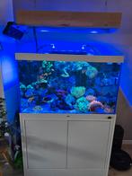 Zee aquarium, Dieren en Toebehoren, Ophalen, Gebruikt, Leeg aquarium