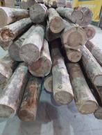 Stamhout palen ronde balken hout, Ophalen, Gebruikt, 250 cm of meer, Palen