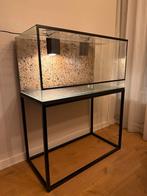 Glazen terrarium 100x50x50 maatwerk onderstel & verlichting, Dieren en Toebehoren, Reptielen en Amfibieën | Toebehoren, Ophalen
