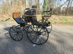 Nieuwe enkelspan Spider. Cob maat. 80/100 cm, Nieuw, Overige typen, Paard of Pony