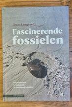 Fascinerende fossielen, Boeken, Ophalen of Verzenden, Nieuw, Bram Langeveld