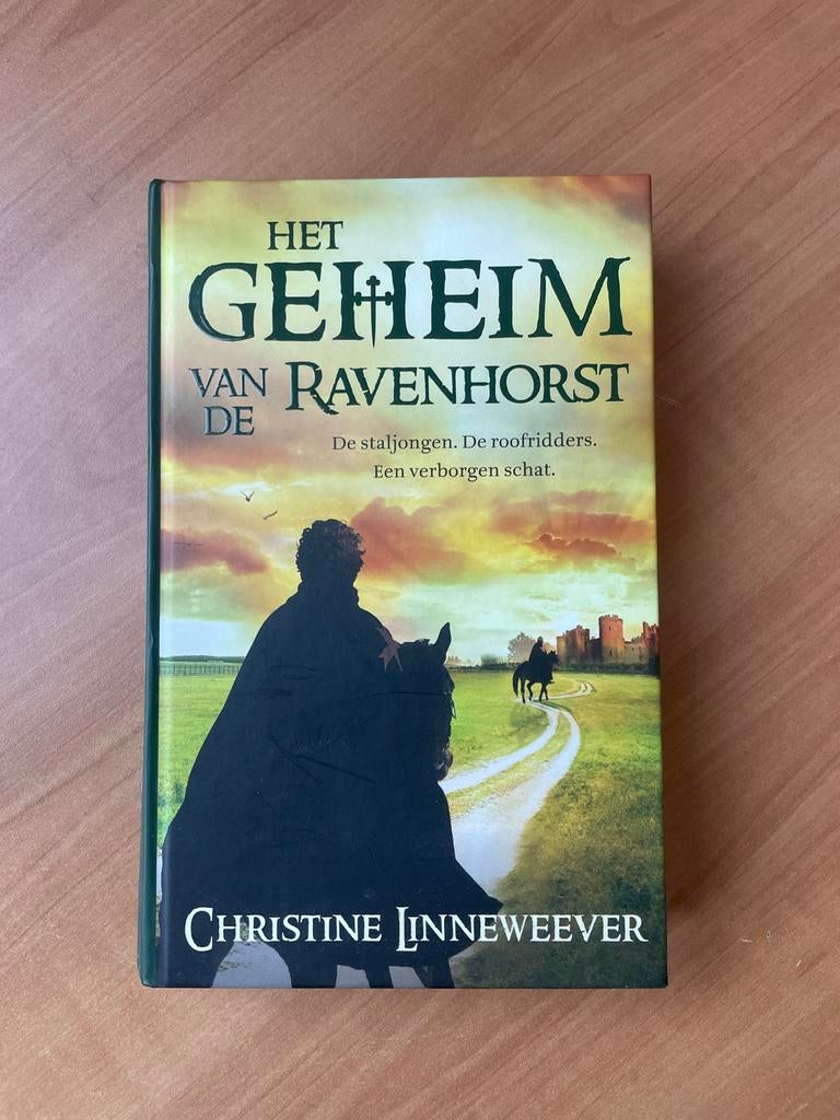 Het Geheim van Ravenhorst - Christine Linneweever, Boeken, Historische romans, Gelezen, Ophalen of Verzenden