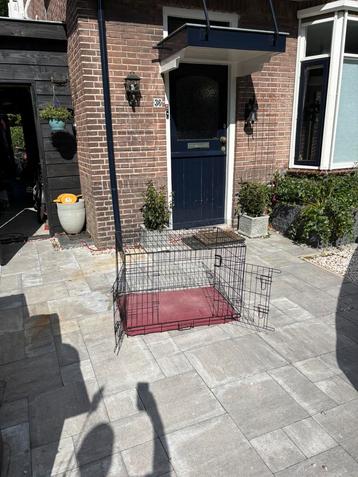 Prima bench met kussen (grote hond) 60x60x90 beschikbaar voor biedingen
