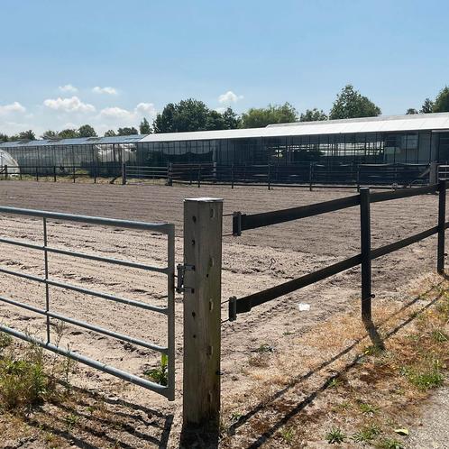 Omheining rijbak, compleet met paddoc, Dieren en Toebehoren, Stalling en Weidegang