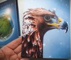 Planet Earth II~2 DVD~David Attenborough~BBC, Alle leeftijden, Boxset, Natuur, Ophalen of Verzenden