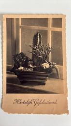 Bakje cactussen. Gefeliciteerd. 1934, Verzamelen, Ansichtkaarten | Themakaarten, Ophalen of Verzenden, 1920 tot 1940