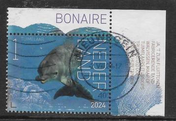 2024, Onderwaterleven Bonaire, Tuimelaar [4201] (K0615) beschikbaar voor biedingen