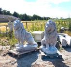 Set grote betonnen leeuwen, Tuin en Terras, Tuinbeelden, Ophalen, Nieuw, Beton, Dierenbeeld