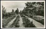Eerbeek Soerense Zand - used 29-7-1955 . (Originalscan !!), Ophalen of Verzenden, 1940 tot 1960, Gelopen, Gelderland