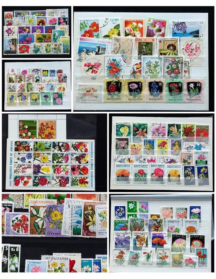 Wereldcollectie bloemenzegels – ca. 140 stuks, gestempeld, Postzegels en Munten, Postzegels | Thematische zegels, Gestempeld, Overige thema's