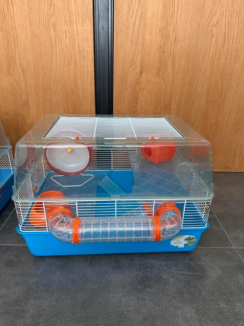 Hamsterkooi, Dieren en Toebehoren, Knaagdieren en Konijnen | Hokken en Kooien, Gebruikt, Kooi, Minder dan 60 cm, Minder dan 75 cm