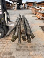 Robinia Palen | Natuurlijke Afrastering | Restpartij, Ophalen, Zo goed als nieuw, 250 cm of meer, Palen