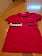 Rode polo shirt maat 146, Kinderen en Baby's, Kinderkleding | Maat 146, Ophalen of Verzenden, Gebruikt, Jongen of Meisje
