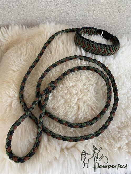 Gave matchende halsband, riem en tekenband, Dieren en Toebehoren, Honden-accessoires, Nieuw, Ophalen of Verzenden