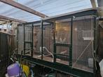 Mooie aluminium vogelvoliere te koop!, Ophalen, Gebruikt, Aluminium, Volière