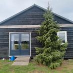 Rent room, Huizen en Kamers, Kamers te huur