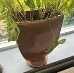 PTMD planten/ bloem pot bruin, Huis en Inrichting, Woonaccessoires | Vazen, Ophalen, Overige kleuren, Aardewerk of Porselein, Zo goed als nieuw