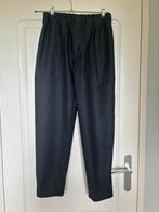 Wollen pantalon Sofie d’hoore, Verzenden, Zo goed als nieuw, Maat 34 (XS) of kleiner, Grijs