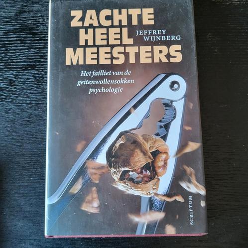 Jeffrey Wijnberg - Zachte heelmeesters, Boeken, Psychologie, Zo goed als nieuw, Ophalen of Verzenden