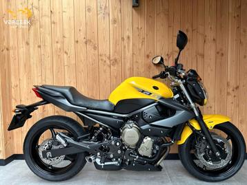YAMAHA XJ 6 ABS XJ6N XJ-6 XJ6-N XJ6 Nieuwstaat! beschikbaar voor biedingen