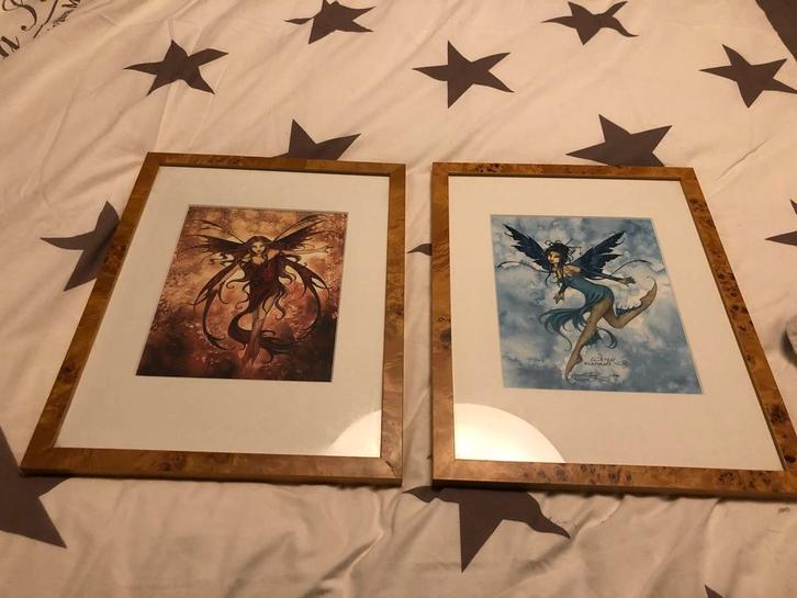 Mooie schilderijen fire en winter element elf., Huis en Inrichting, Woonaccessoires | Lijsten, Zo goed als nieuw, Minder dan 50 cm