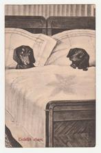 Teckels in bed.  Honden.  Eindelijk alleen.   1913.  Dogs., Verzenden, Voor 1920, Gelopen, Overige thema's