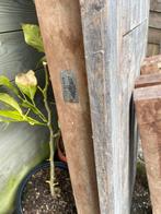 Zware tuintafel, Tuin en Terras, Tuintafels, Ophalen, Gebruikt, Rechthoekig, Hout