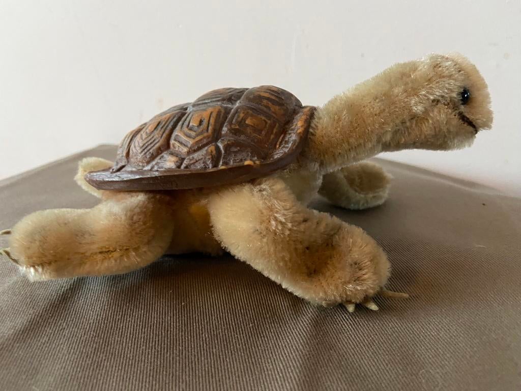 Steiff schildpad Slo, 2314,00, Ophalen of Verzenden