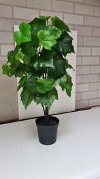 Kunstplant wijnbladeren, Ophalen, Zo goed als nieuw