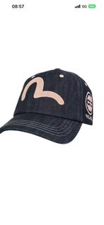 Palace x Evisue Snapback, Ophalen of Verzenden, Zo goed als nieuw