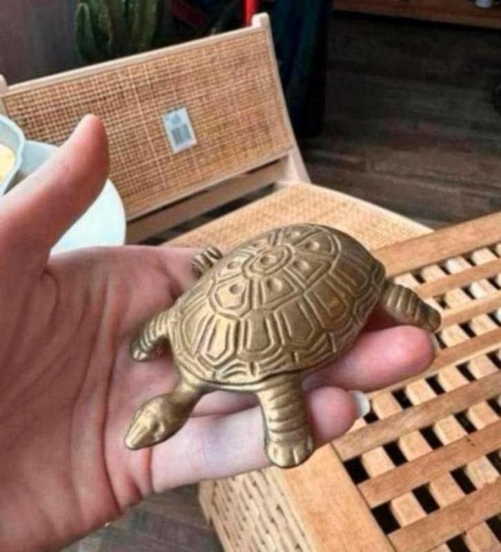 Messing schildpad met opbergruimte in het schil, Antiek en Kunst, Antiek | Koper en Brons, Ophalen of Verzenden