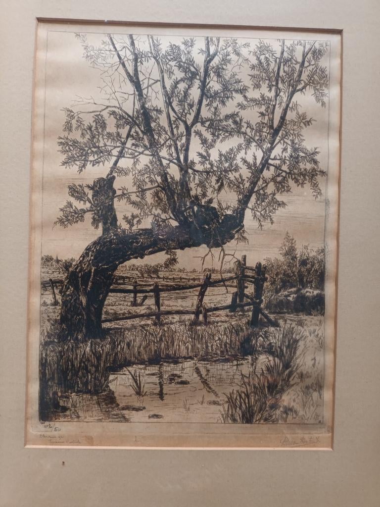 Ets van LW Van Kooten, Ophalen of Verzenden