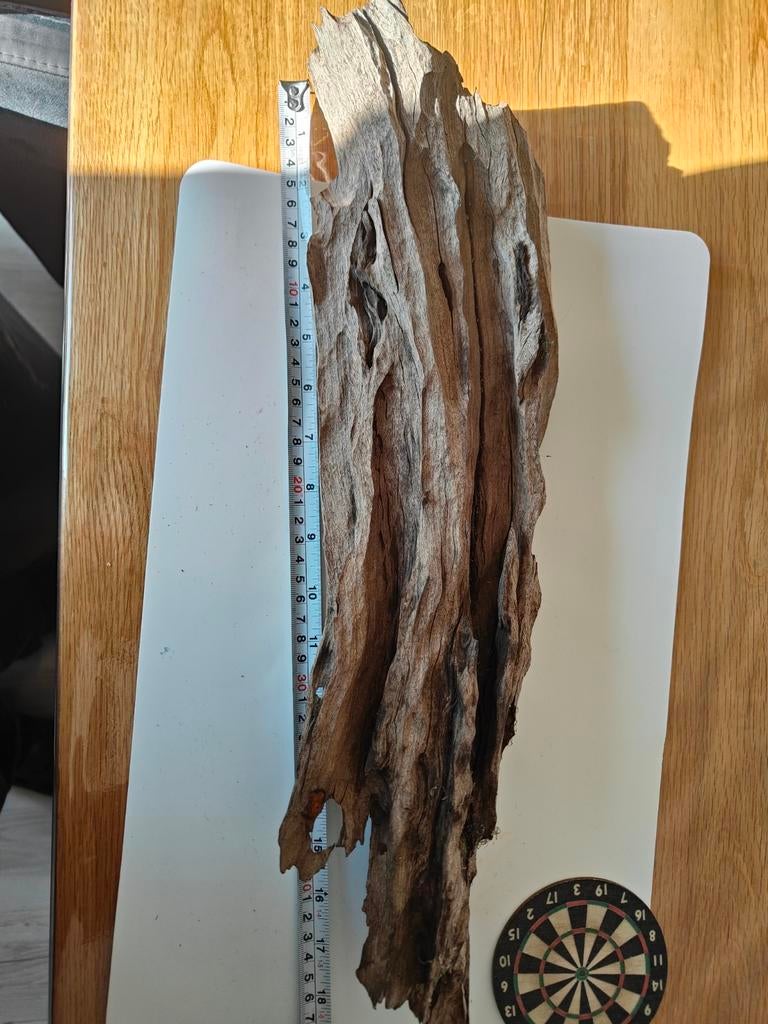 Decoratief drijfhout stuk, 40 cm, Hout, Gebruikt, Ophalen of Verzenden, Landelijk