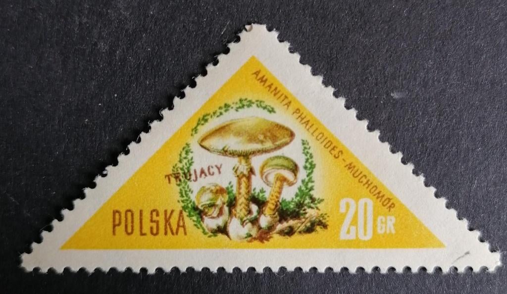 POLEN - paddestoelen 1959, Verzenden, Polen, Gestempeld