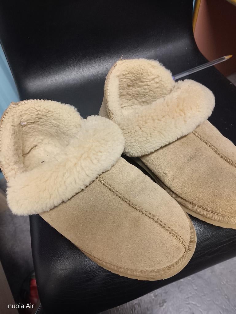 Warmbat australia, Ophalen of Verzenden