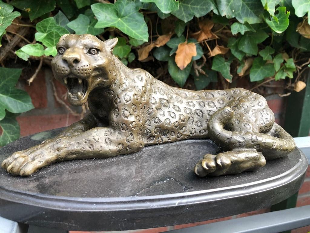 bronzen liggende luipaard cheetah, Antiek en Kunst, Ophalen of Verzenden