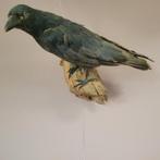 Opgezette zwarte kraai taxidermie – vintage, Ophalen of Verzenden, Gebruikt, Vogel, Opgezet dier