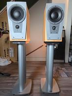 Dynaudio Contour S1.4 met Dynaudio origineel stands, Zo goed als nieuw, 120 watt of meer, Front, Rear of Stereo speakers, Ophalen
