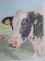 Schilderij koetje omgeving Valkenburg, Ophalen of Verzenden