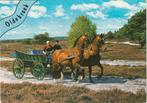 OLDEBROEK Klederdracht Paard en Wagen, Verzenden, 1960 tot 1980, Gelopen, Gelderland