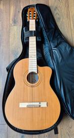 Ortega RCE179SN-25TH Anniversary nylon gitaar met element, Ophalen of Verzenden, Zo goed als nieuw, Overige typen