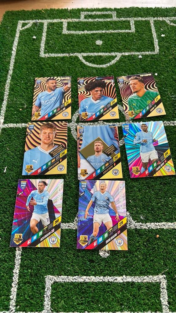 Fifa 365 panini, Ophalen of Verzenden, Zo goed als nieuw, Plaatje