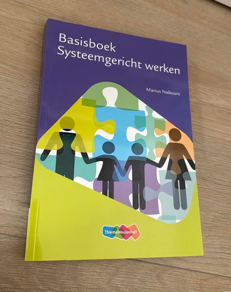 Marius Nabuurs - Systeemgericht werken, Nieuw, Ophalen of Verzenden, Marius Nabuurs, Nederlands