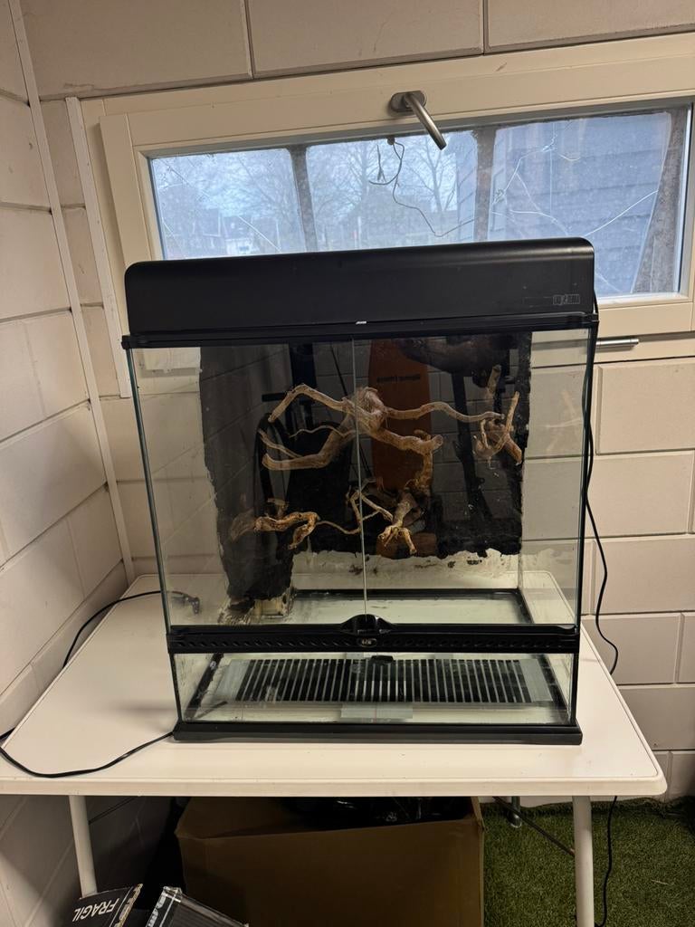 EXO TERRA 60x60x45 showterrarium compleet, Ophalen, Zo goed als nieuw