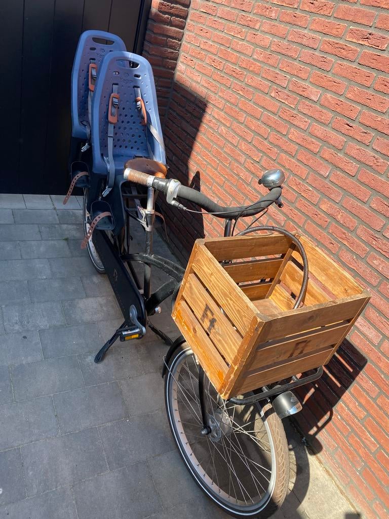 Tweelingfiets Fietsfabriek met twee kinderzitjes, Versnellingen, Ophalen, Overige merken, 53 tot 56 cm