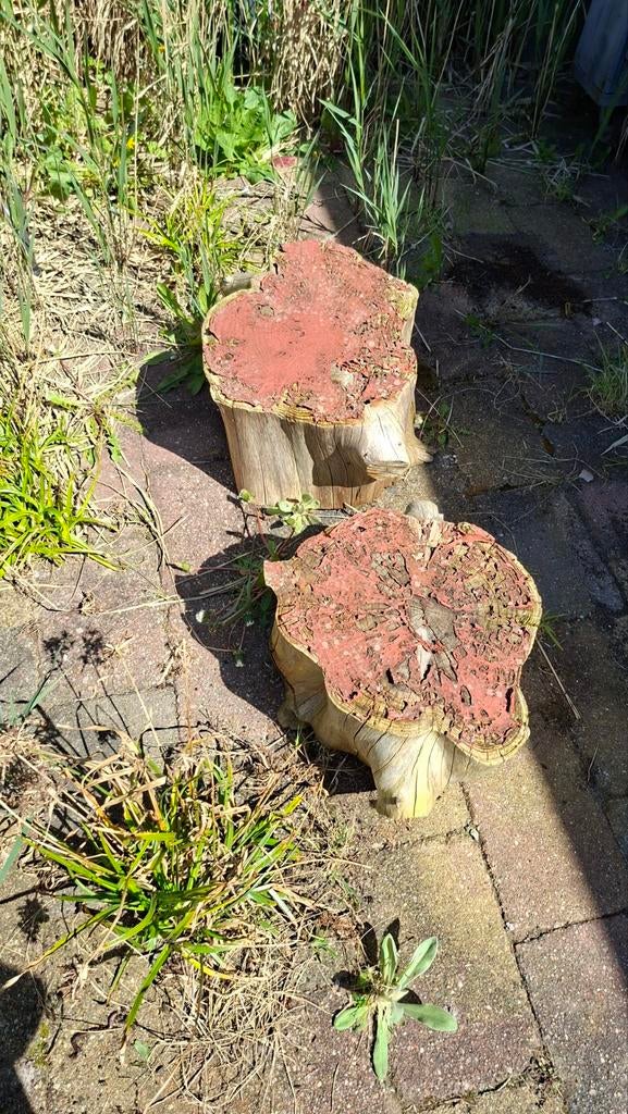 Gratis boomstronken decoratief of zitten, Ophalen, Gebruikt