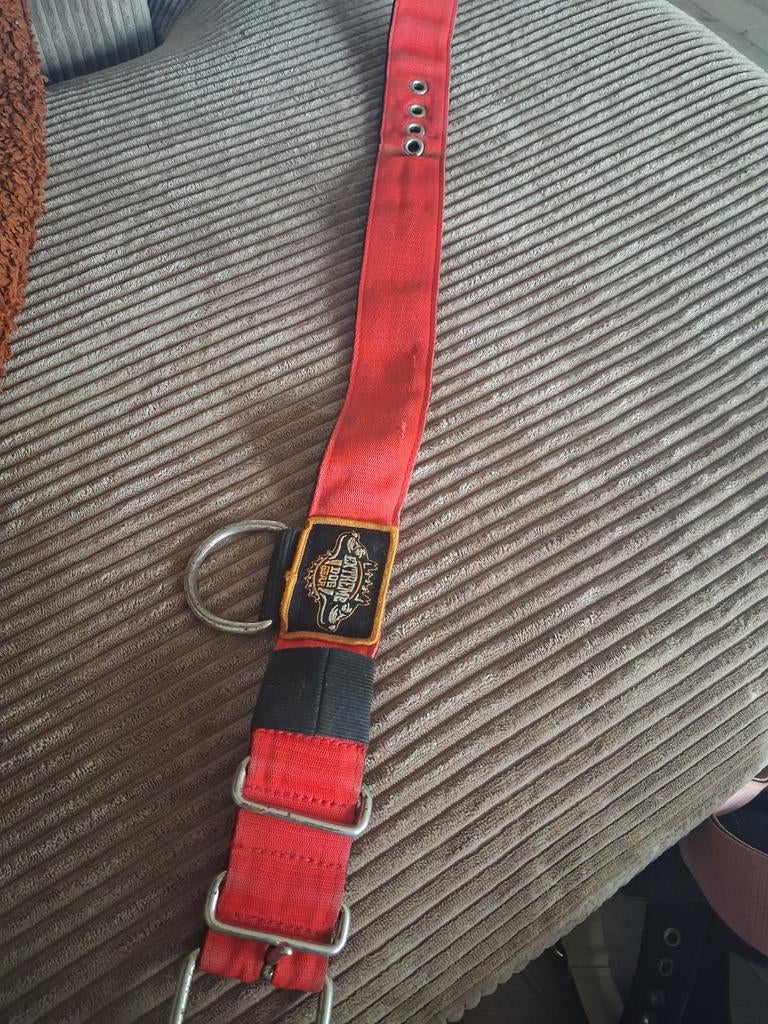 Rode halsband extreme dog gear, Dieren en Toebehoren, Ophalen of Verzenden, Handgemaakt, Zo goed als nieuw