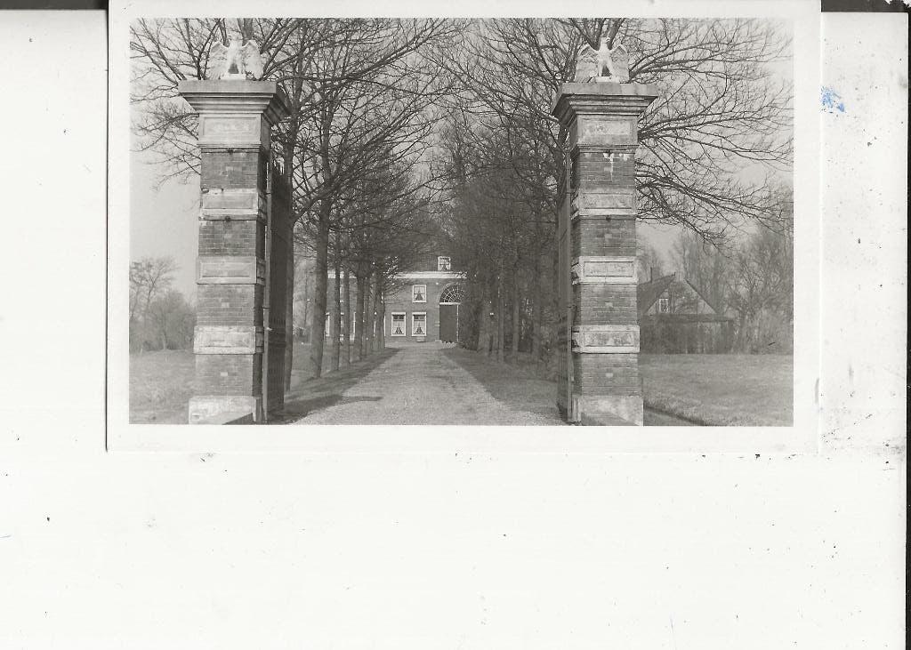 Wieldrecht Krab en Landzicht  Fotokaart, Ophalen of Verzenden, 1940 tot 1960, Ongelopen, Zuid-Holland