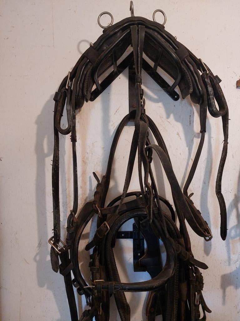 Enkelspan pony tuig, Ophalen, Overige soorten